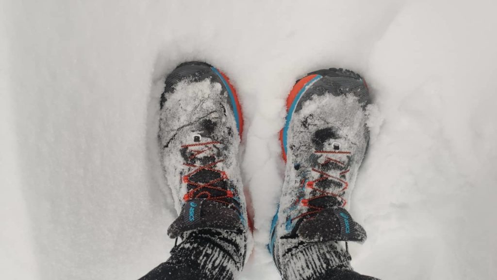 Trabuco Max im Schnee
